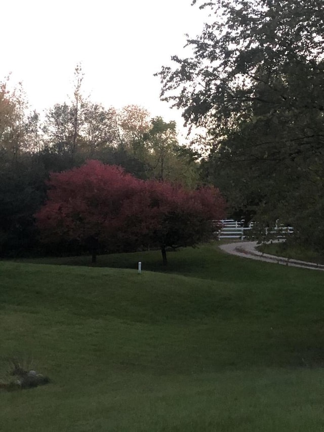 surrounding community featuring a yard