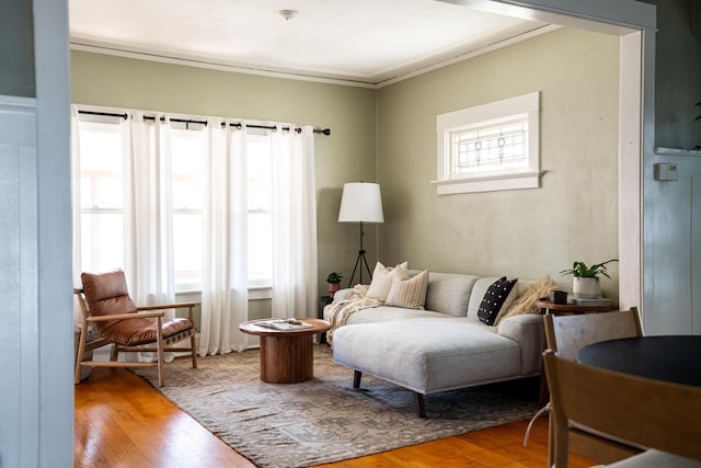 living area featuring crown molding and wood-type flooring