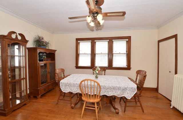 dining space with crown molding, radiator, ceiling fan, and light wood-style flooring
