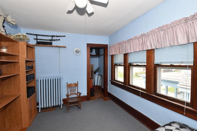 carpeted bedroom with radiator