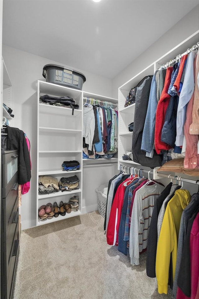 1205 Thistle Dew Ln, Waunakee, WI 53597 - walk in closet featuring carpet flooring