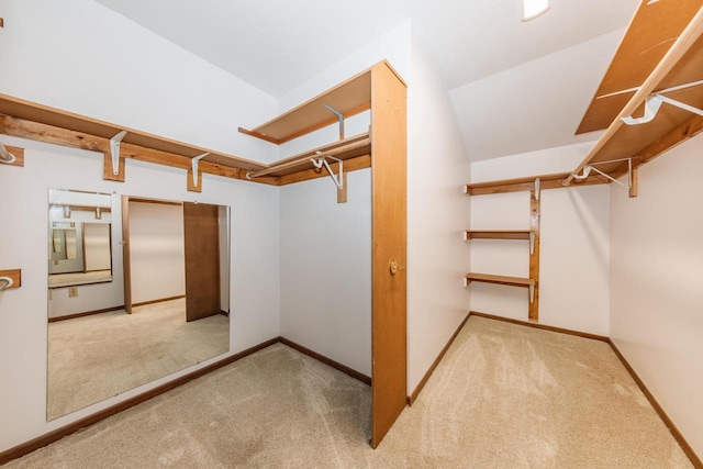 spacious closet featuring carpet