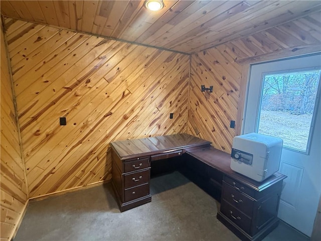 8523 Lakeside Rd, Trego, WI 54888 - unfurnished office with wood walls, wooden ceiling, carpet, and a sauna