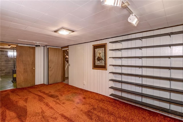 below grade area with carpet floors and wood walls