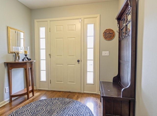 entrance foyer featuring baseboards, wood finished floors, and a wealth of natural light