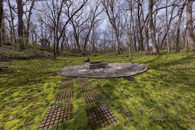 view of yard with an outdoor fire pit