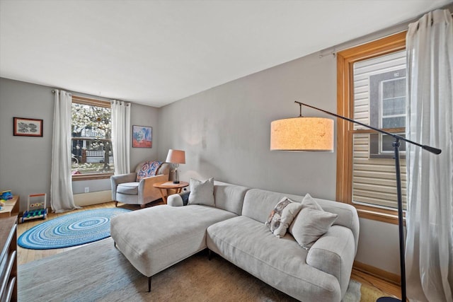 living area featuring wood finished floors
