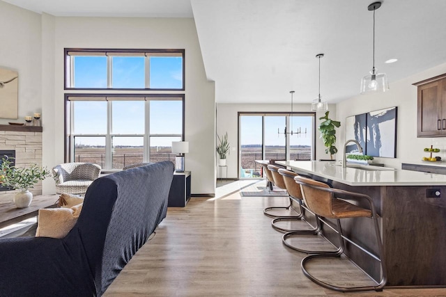 living area featuring a fireplace and light wood-style floors