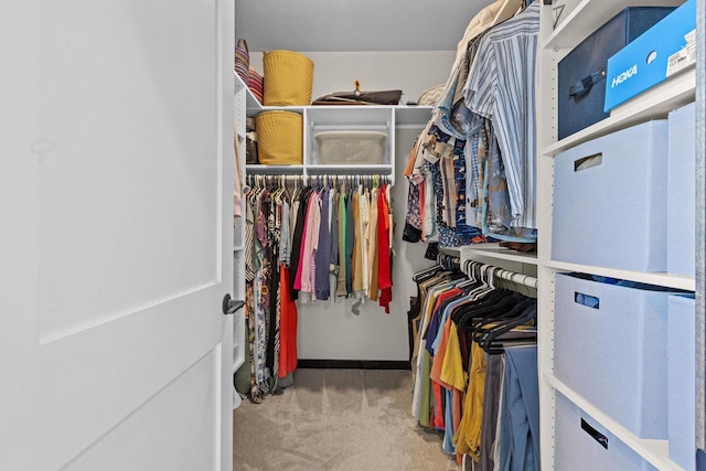 spacious closet featuring carpet floors