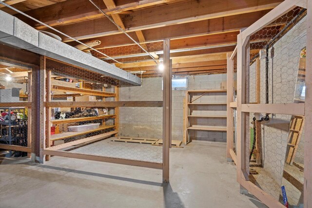 view of unfinished below grade area