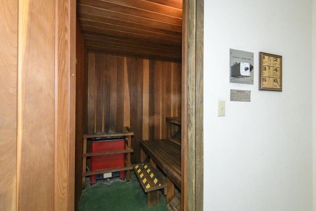 view of sauna / steam room with carpet flooring