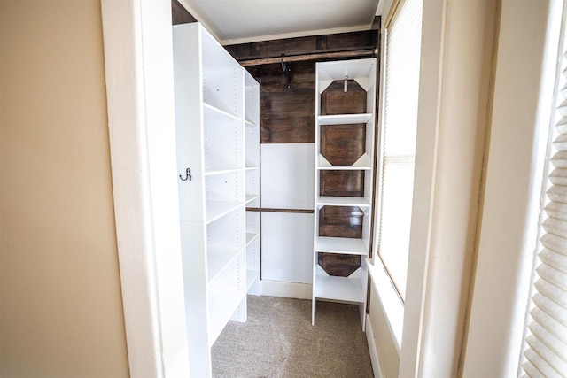 walk in closet featuring carpet