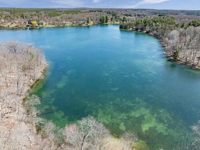 drone / aerial view with a water view and a forest view