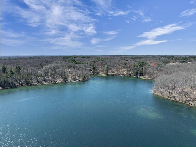 aerial view with a water view and a view of trees