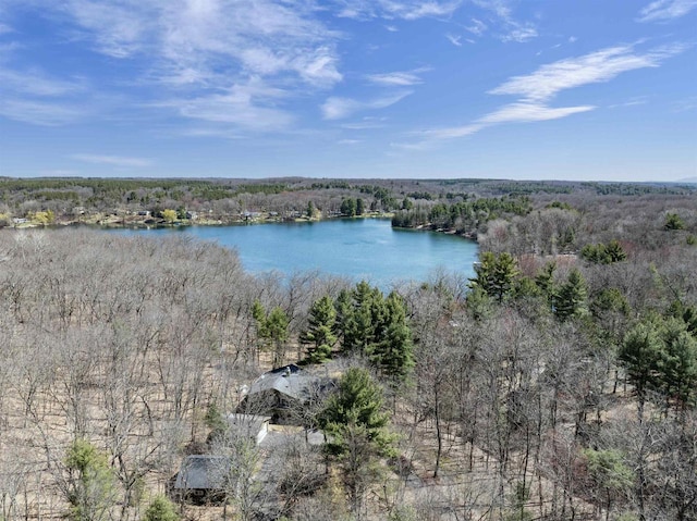 view of water feature featuring a wooded view