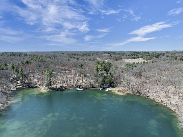 aerial view with a water view and a wooded view