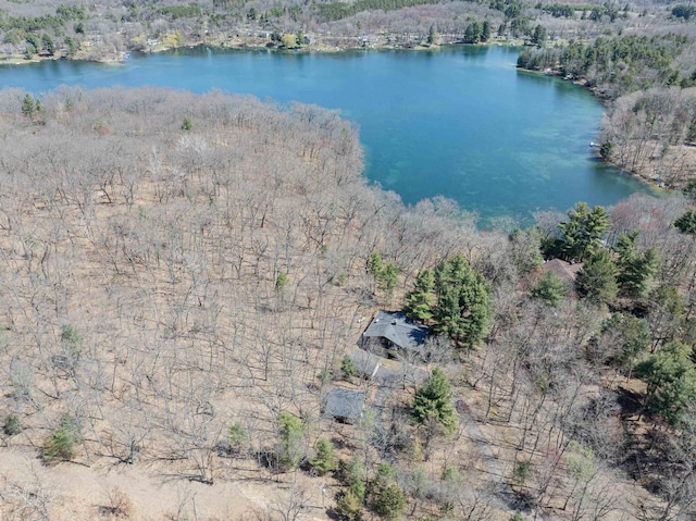 aerial view featuring a water view and a view of trees