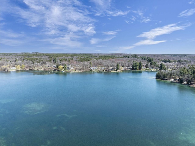 property view of water featuring a forest view