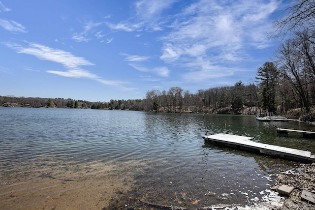 dock area featuring a water view and a forest view