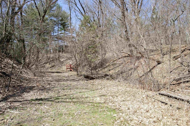 view of local wilderness