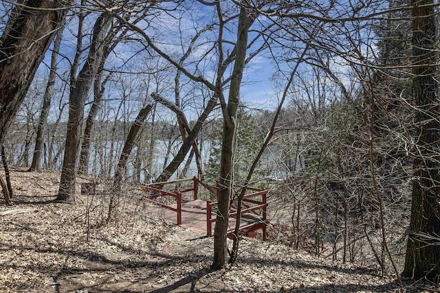 view of local wilderness featuring a wooded view
