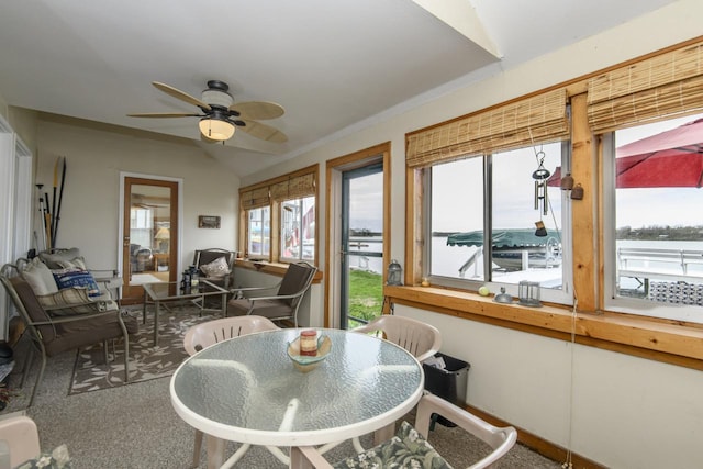 sunroom / solarium with carpet floors