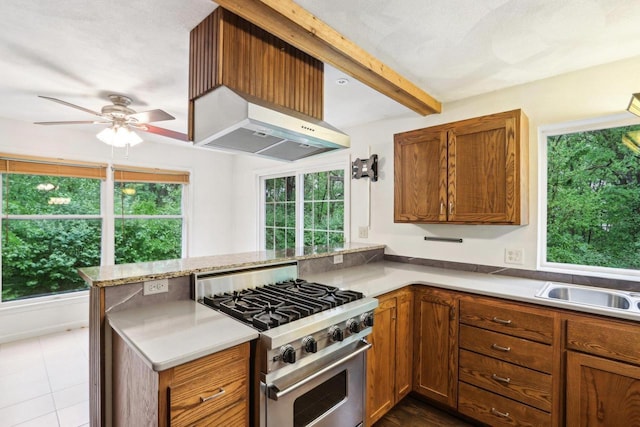S9073 Timbercrest Trl, Prairie Du Sac, WI 53578 - kitchen with stainless steel range, ceiling fan, plenty of natural light, a peninsula, and beamed ceiling