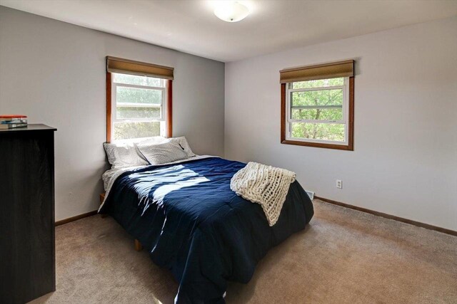 511 Linda Rd, Mount Horeb, WI 53572 - bedroom featuring multiple windows, light carpet, and baseboards