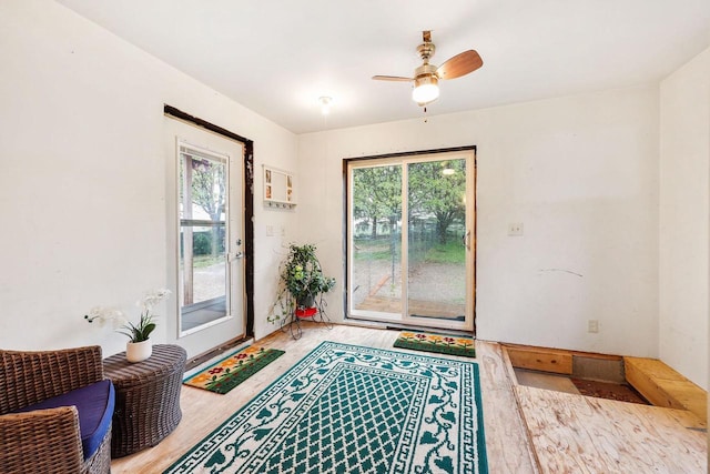 1410 Sun Prairie Rd, Marshall, WI 53559 - entryway featuring plenty of natural light, wood finished floors, and a ceiling fan