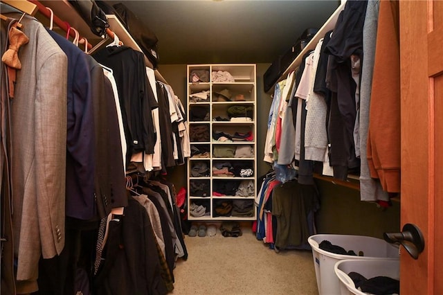 4410 Echo Valley Dr, Eau Claire, WI 54701 - walk in closet with carpet flooring