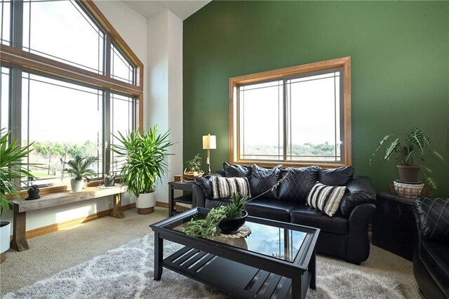 4410 Echo Valley Dr, Eau Claire, WI 54701 - living room with baseboards, plenty of natural light, and carpet