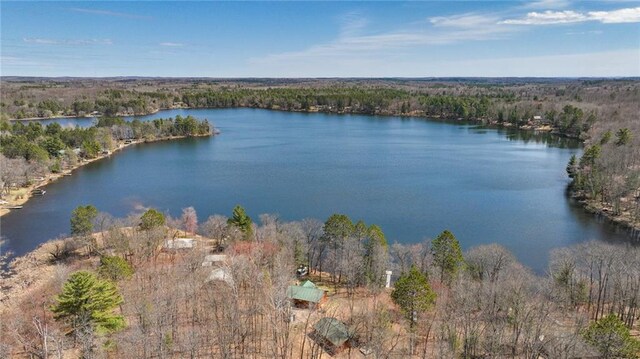 7540 Spider Lake Rd, Iron River, WI 54847 - bird's eye view featuring a view of trees and a water view
