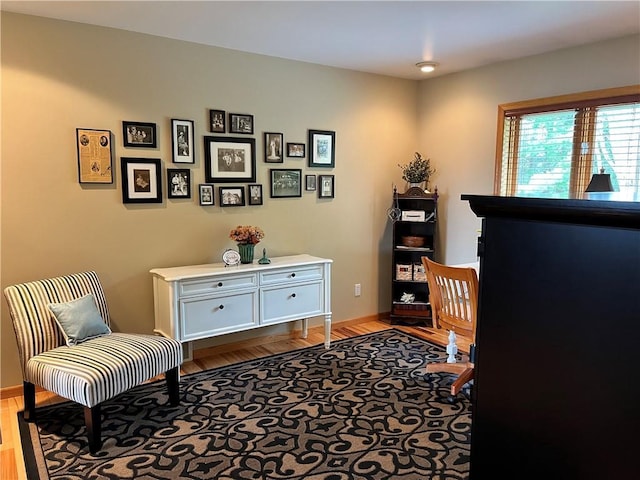 office featuring baseboards and wood finished floors