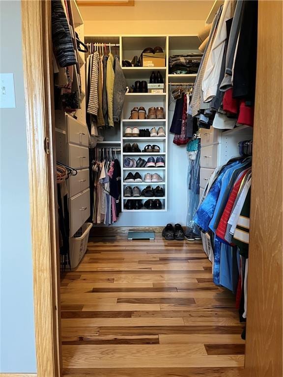 spacious closet featuring wood finished floors