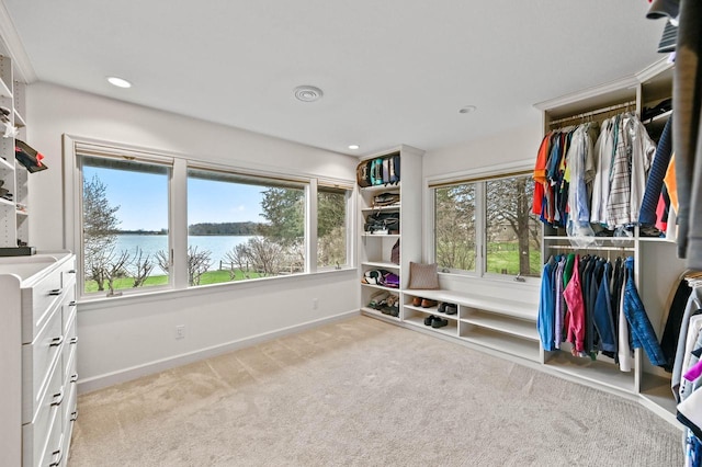 walk in closet with carpet flooring
