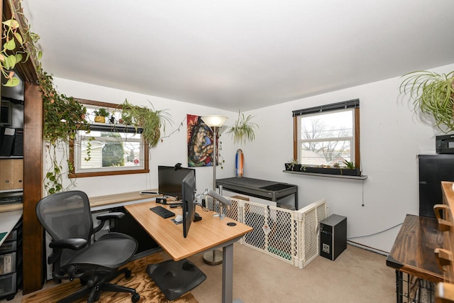 home office featuring carpet floors