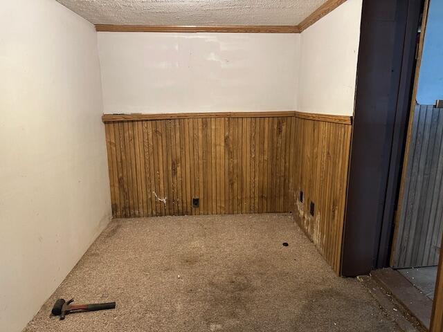 spare room with crown molding, carpet flooring, wainscoting, and wooden walls