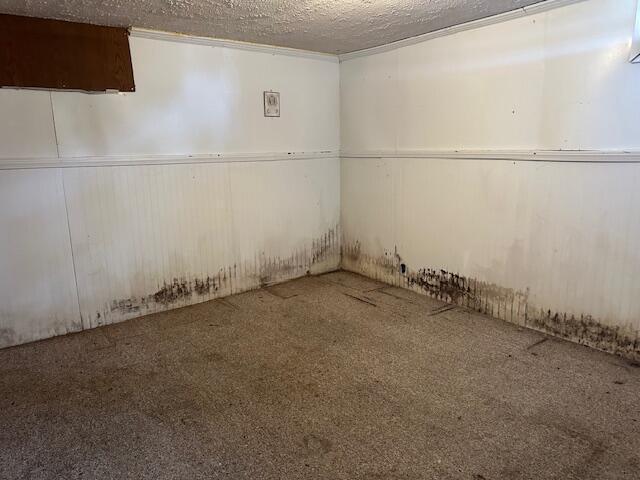 empty room featuring carpet floors and a textured ceiling