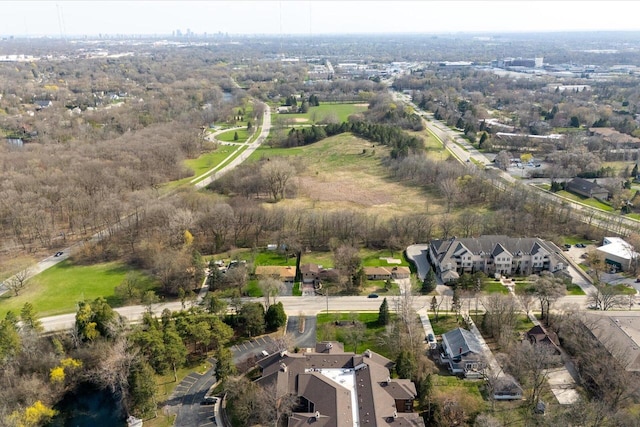 drone / aerial view