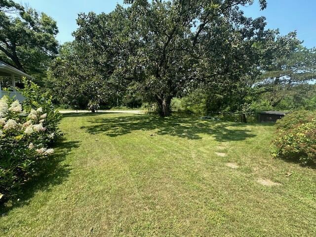 view of yard