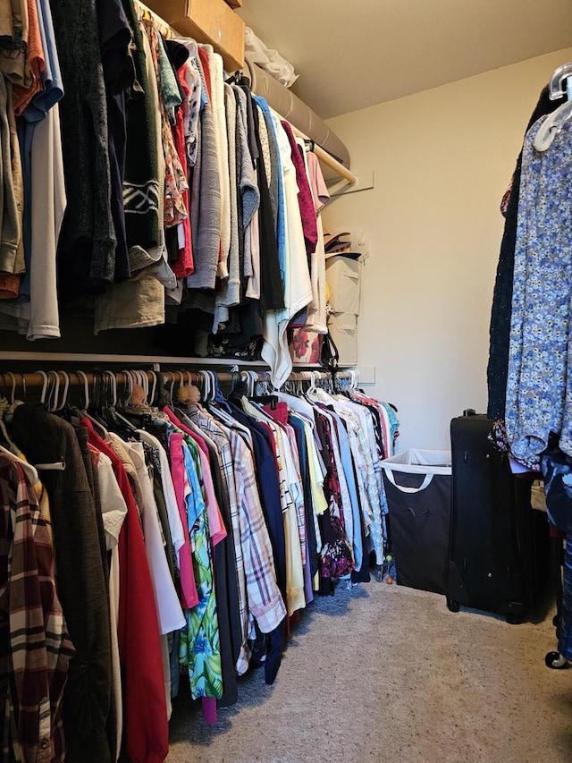 850 Evergreen Dr Unit 8, Hartford, WI 53027 - spacious closet featuring carpet floors