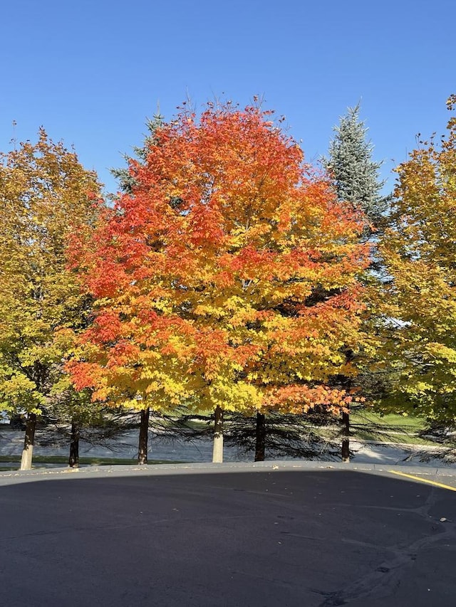 850 Evergreen Dr Unit 8, Hartford, WI 53027 - view of road