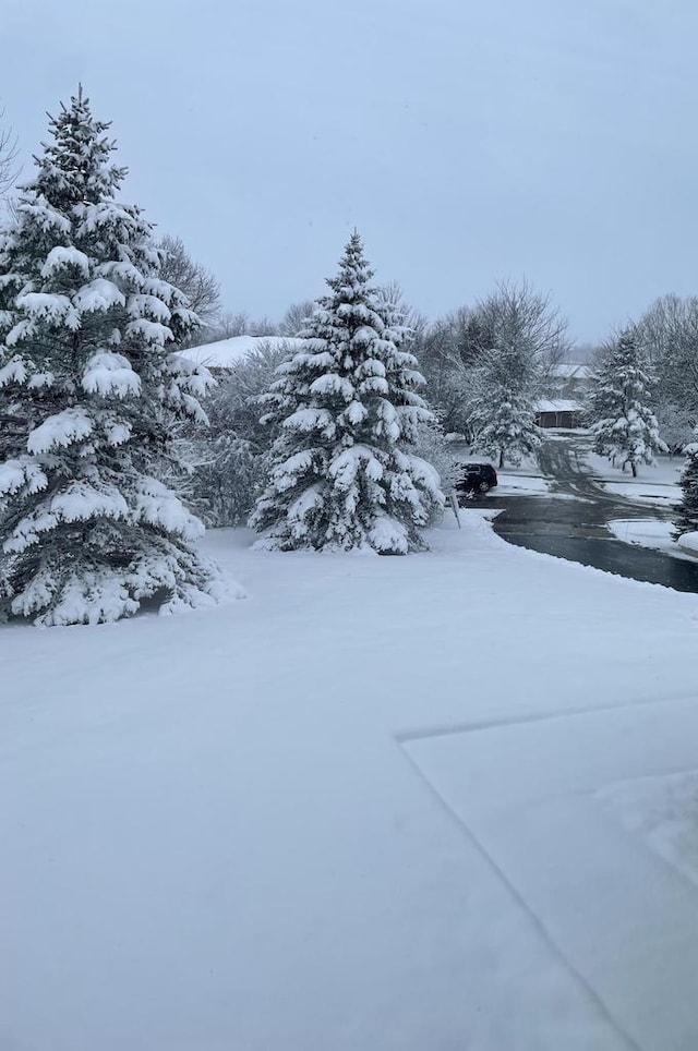 850 Evergreen Dr Unit 8, Hartford, WI 53027 - view of snowy yard