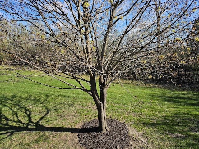 850 Evergreen Dr Unit 8, Hartford, WI 53027 - view of yard