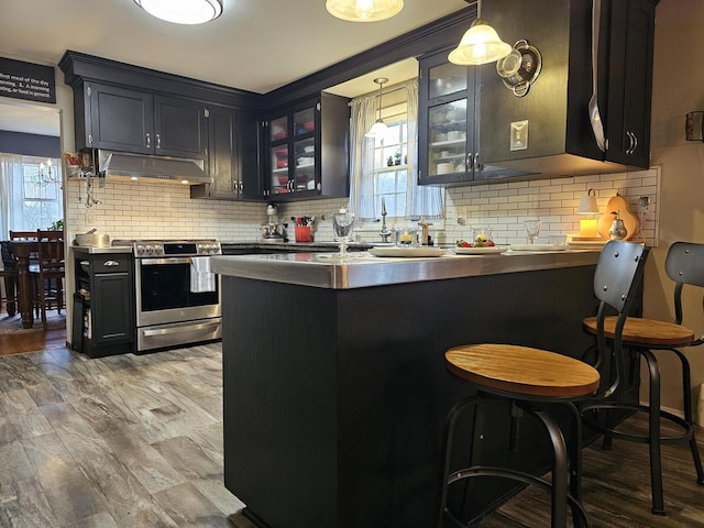 kitchen with stainless steel range with electric cooktop, a peninsula, tasteful backsplash, under cabinet range hood, and glass insert cabinets