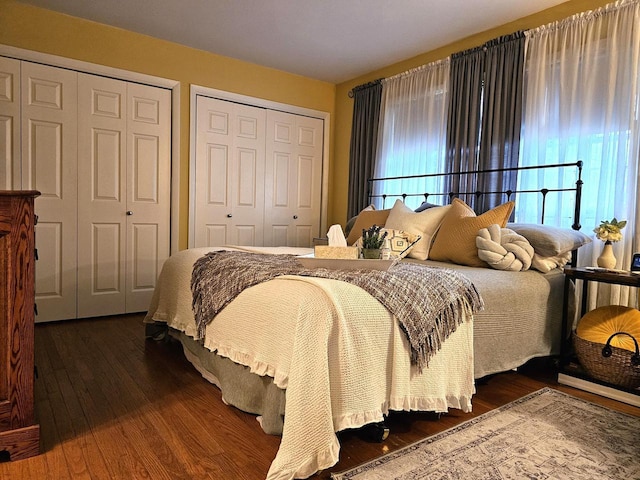 bedroom featuring multiple closets and wood finished floors