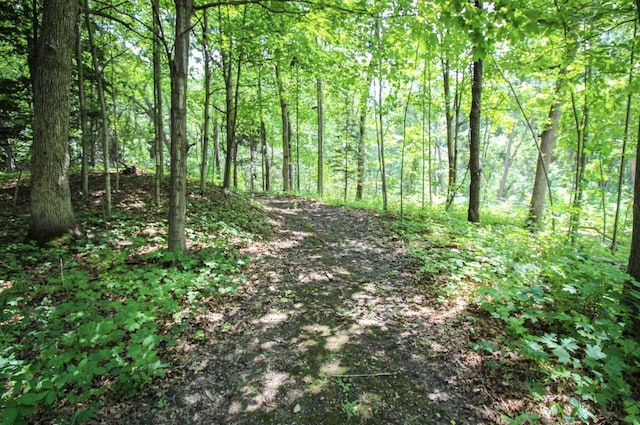 view of landscape with a wooded view