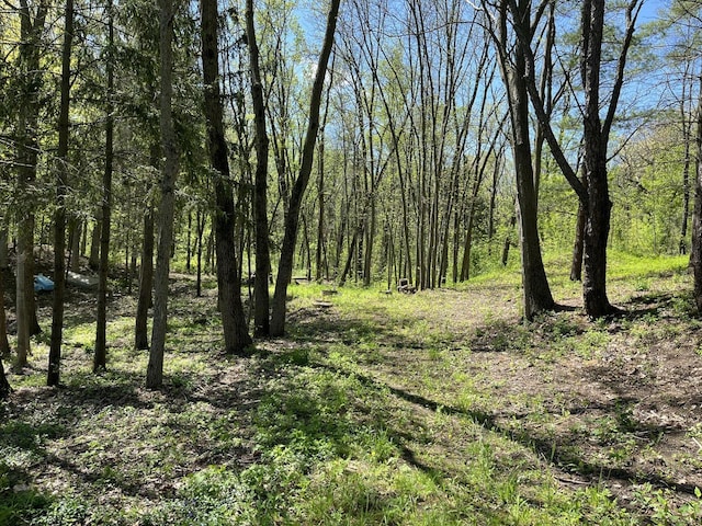 view of nature