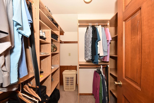 view of walk in closet