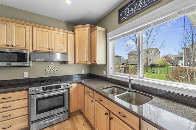kitchen with light brown cabinetry, light wood-type flooring, under cabinet range hood, a sink, and stainless steel appliances